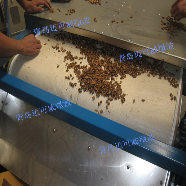 某食品企业：隧道式微波熟化设备，用于松子产品熟化
