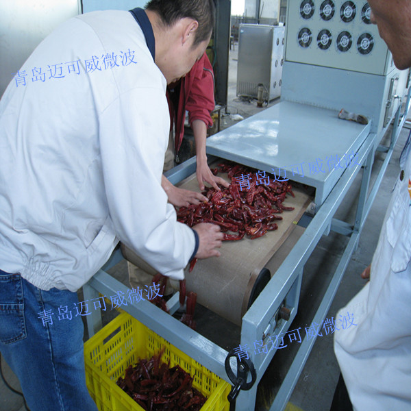 某农产品加工企业：隧道式微波设备，用于辣椒及制品干燥杀菌处理